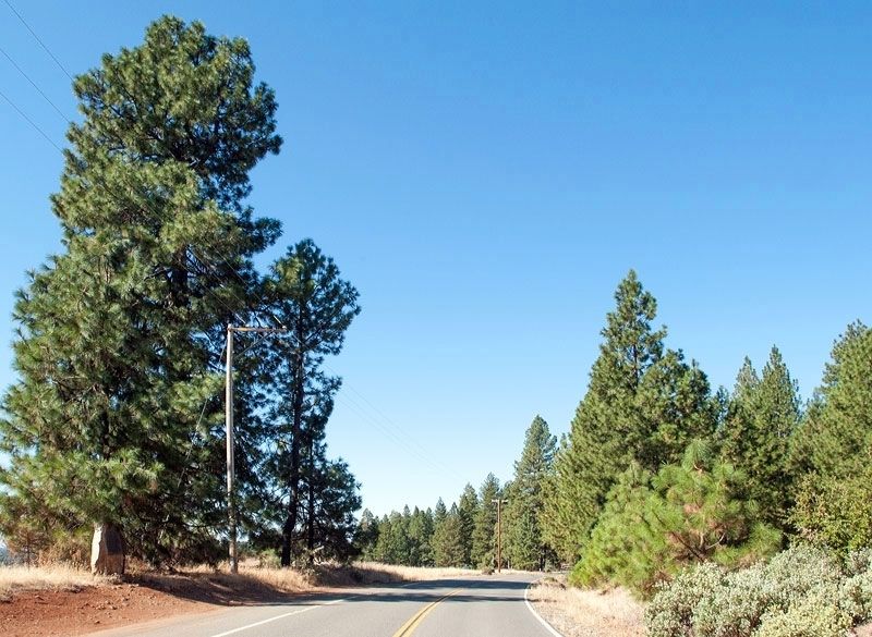 Original 1968 Astronomical Observatory Marker. Click for full size. Original 1968 Astronomical Observatory Marker image. Click for full size.