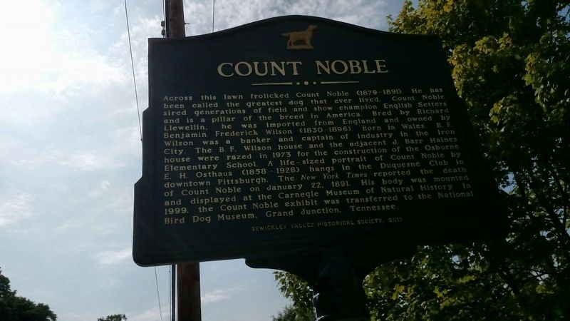 Count Noble Marker. Click for full size. Count Noble Marker image. Click for full size.