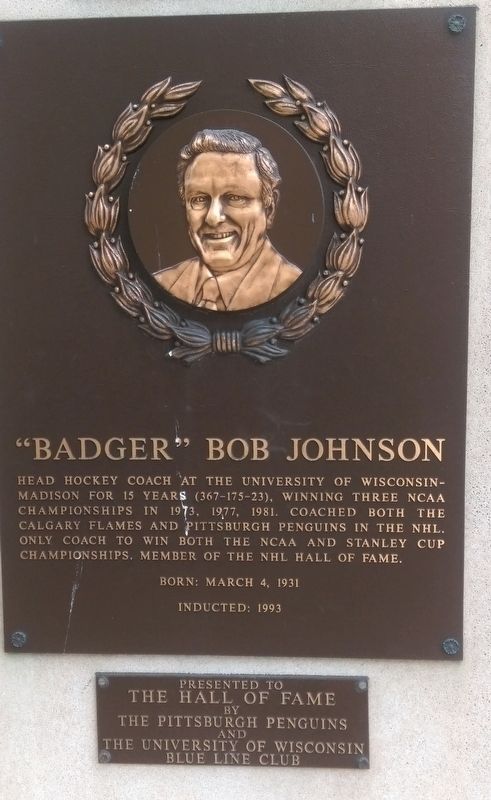 "Badger" Bob Johnson Marker image. Click for full size.
