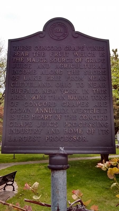 These Concord Grape Vines Marker. Click for full size. These Concord Grape Vines Marker image. Click for full size.