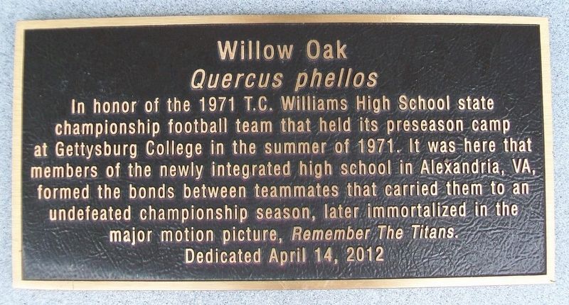 1971 T.C. Williams High School Football Team Honor Oak Marker image. Click for full size.