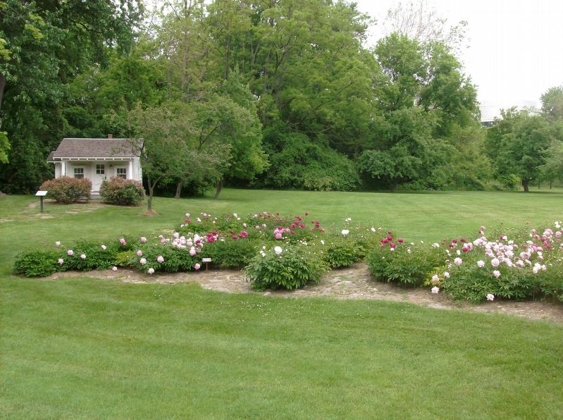 Peony garden, marker, and miniature farmhouse image. Click for full size.