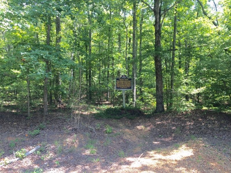 General Jackson's Military Road Marker partially into woods.. Click for full size. General Jackson's Military Road Marker partially into woods. image. Click for full size.