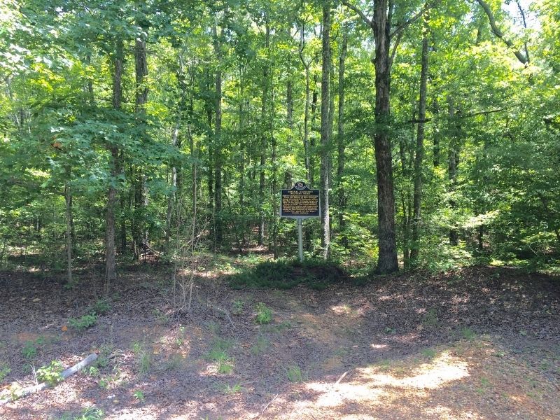 General Jackson's Military Road Marker partially into woods. image. Click for full size.