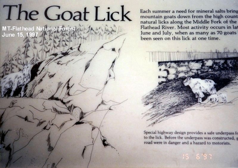 The Goat Lick Marker image. Click for full size.