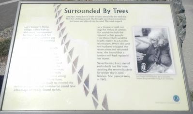 Surrounded By Trees Marker. Click for full size. Surrounded By Trees Marker image. Click for full size.