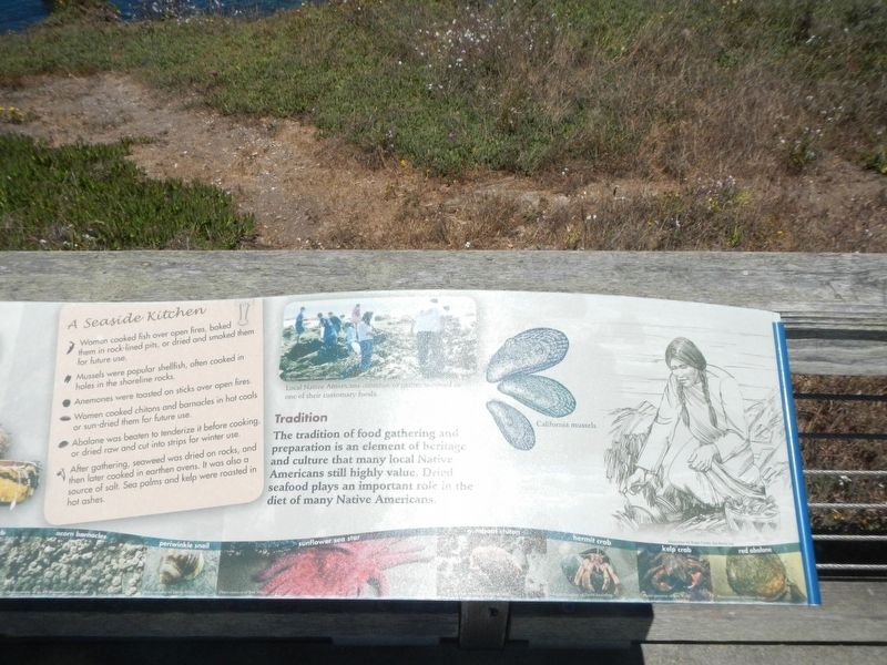 Harvesting the Shore Marker, right section image. Click for full size.