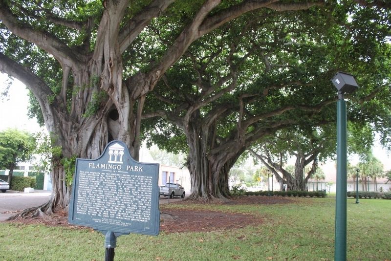 Flamingo Park Marker with banyan trees behind image. Click for full size.