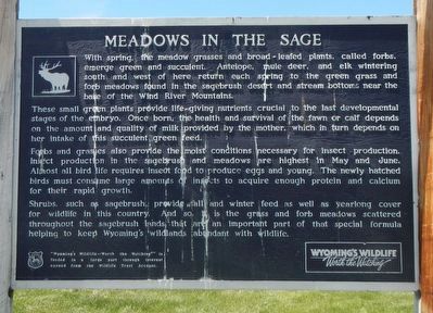 Meadows in the Sage Marker. Click for full size. Meadows in the Sage Marker image. Click for full size.