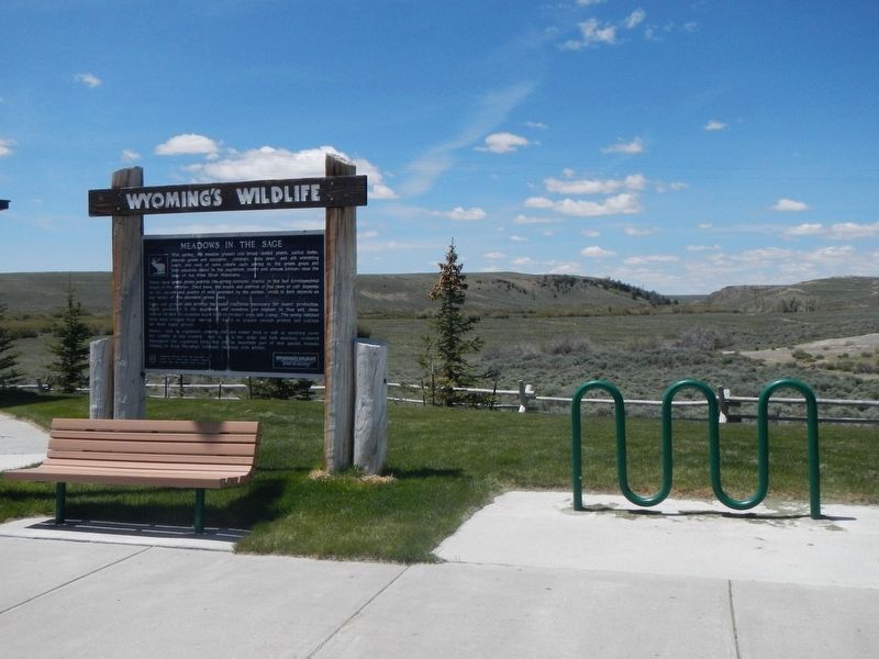 Meadows in the Sage Marker. Click for full size. Meadows in the Sage Marker image. Click for full size.