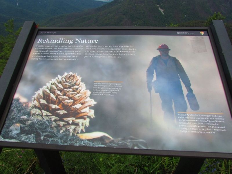 Rekindling Nature Marker. Click for full size. Rekindling Nature Marker image. Click for full size.