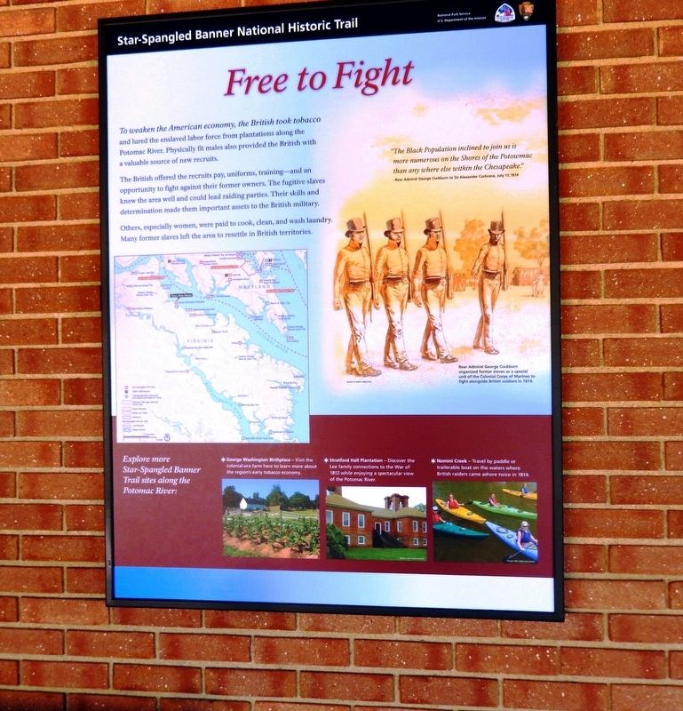 Free to Fight Marker. Click for full size. Free to Fight Marker image. Click for full size.
