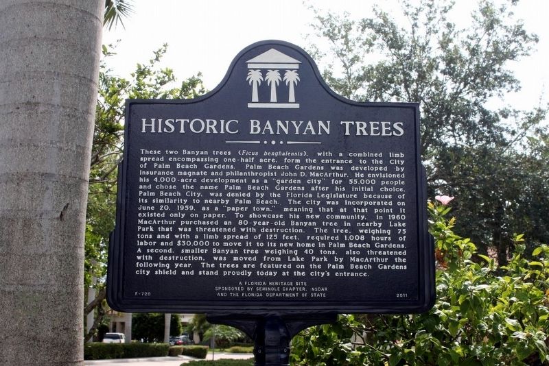 Historic Banyan Trees Marker image. Click for full size.