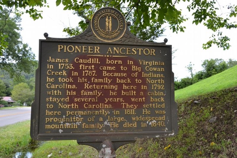 Pioneer Ancestor Marker. Click for full size. Pioneer Ancestor Marker image. Click for full size.