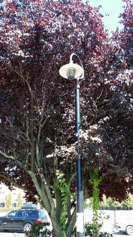 Example of the Shepherd's Hook Lamp Posts. Click for full size. Example of the Shepherd's Hook Lamp Posts image. Click for full size.