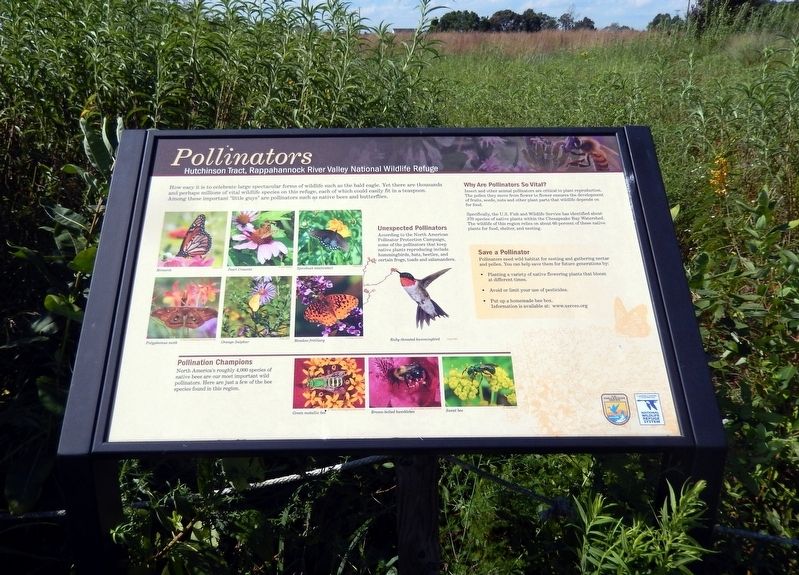 Pollinators Marker image. Click for full size.