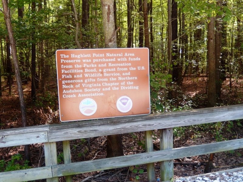 Hughlett Point Natural Area Preserve sign describing funding. Click for full size. Hughlett Point Natural Area Preserve sign describing funding image. Click for full size.