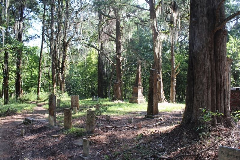 Rocky Springs Cemetery. Click for full size. Rocky Springs Cemetery image. Click for full size.