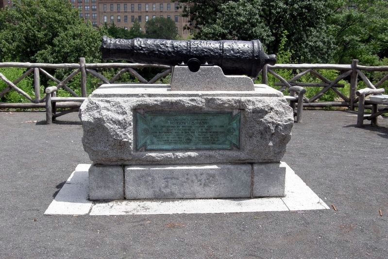 At Fort Clinton: a long gun image. Click for full size.