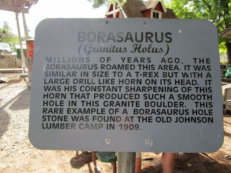 Borasaurus Marker. Click for full size. Borasaurus Marker image. Click for full size.