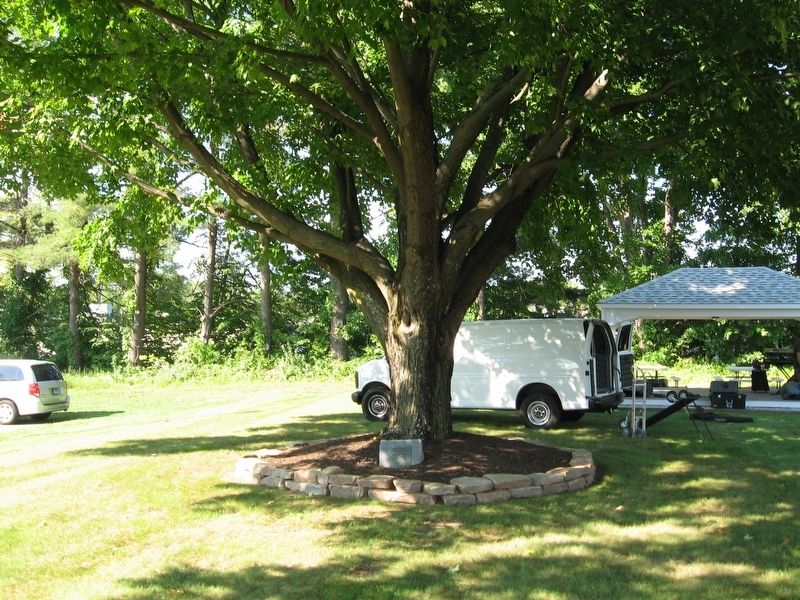 Planted in Memory Marker. Click for full size. Planted in Memory Marker image. Click for full size.