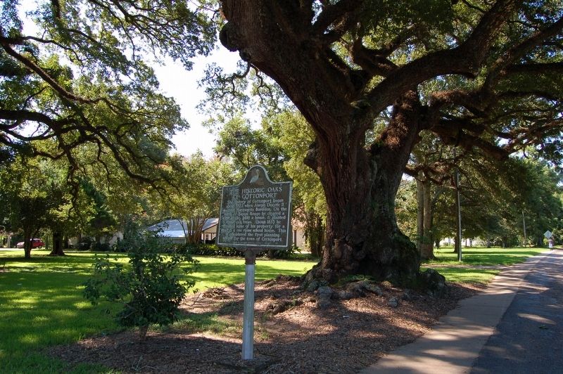 The Historic Oaks of Cottonport Marker image. Click for full size.