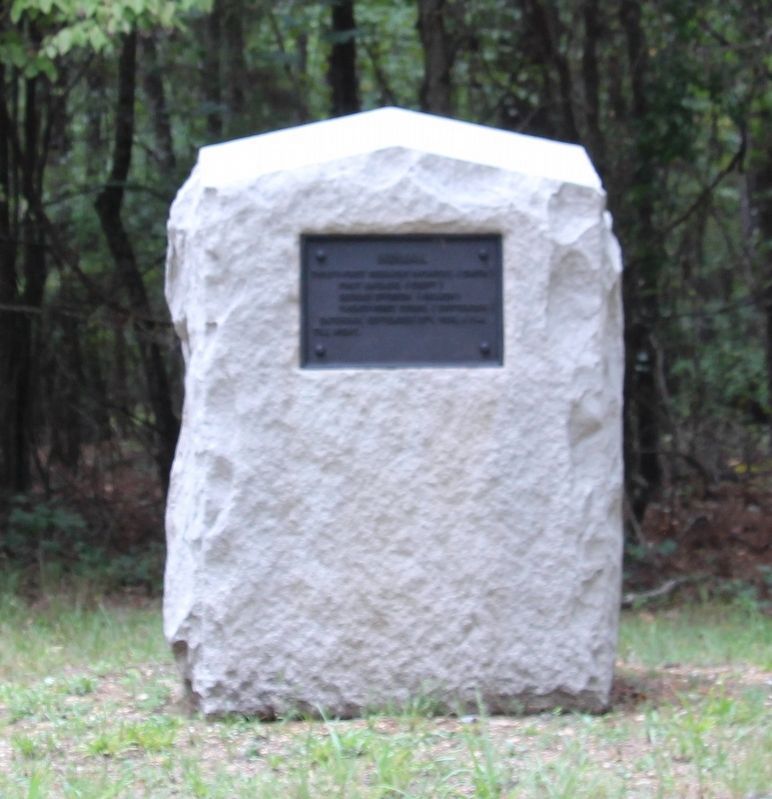 31st Indiana Infantry Marker image. Click for full size.