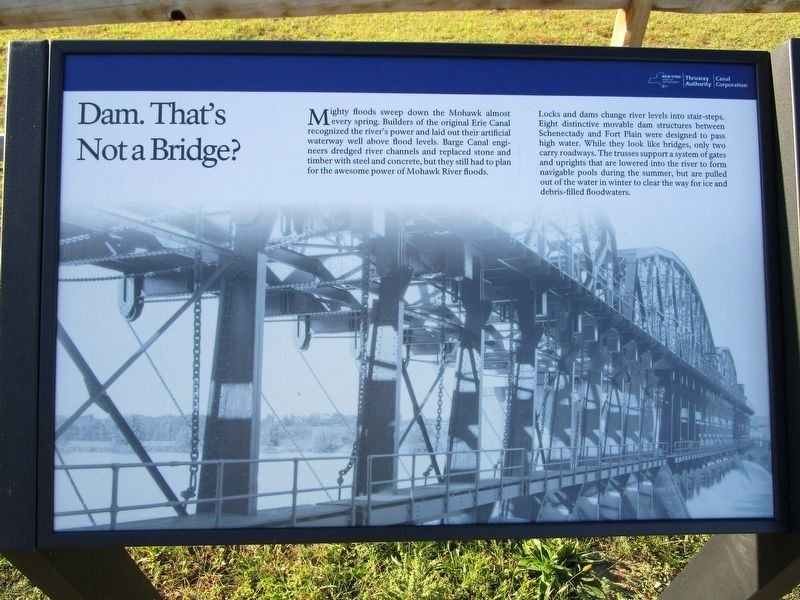 Dam. That's Not a Bridge? Marker image. Click for full size.