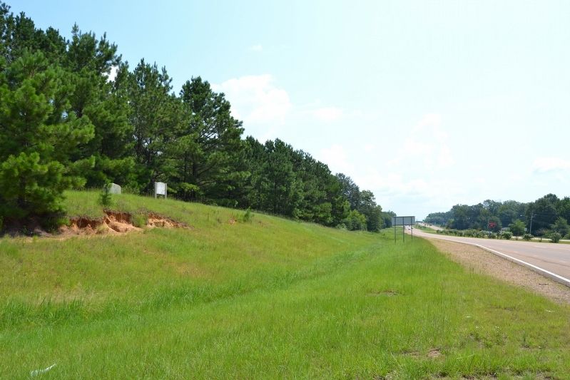 View to the East from Natchez Trace Road image. Click for full size.
