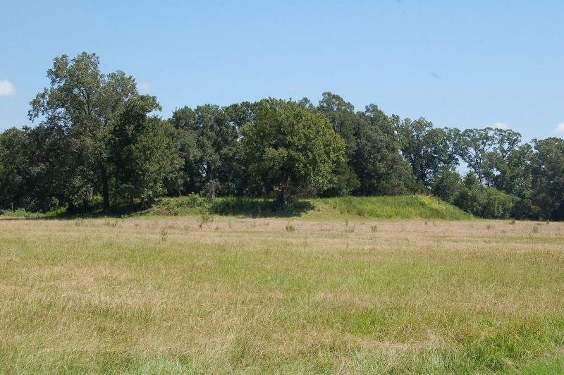 Marksville Mounds image. Click for full size.