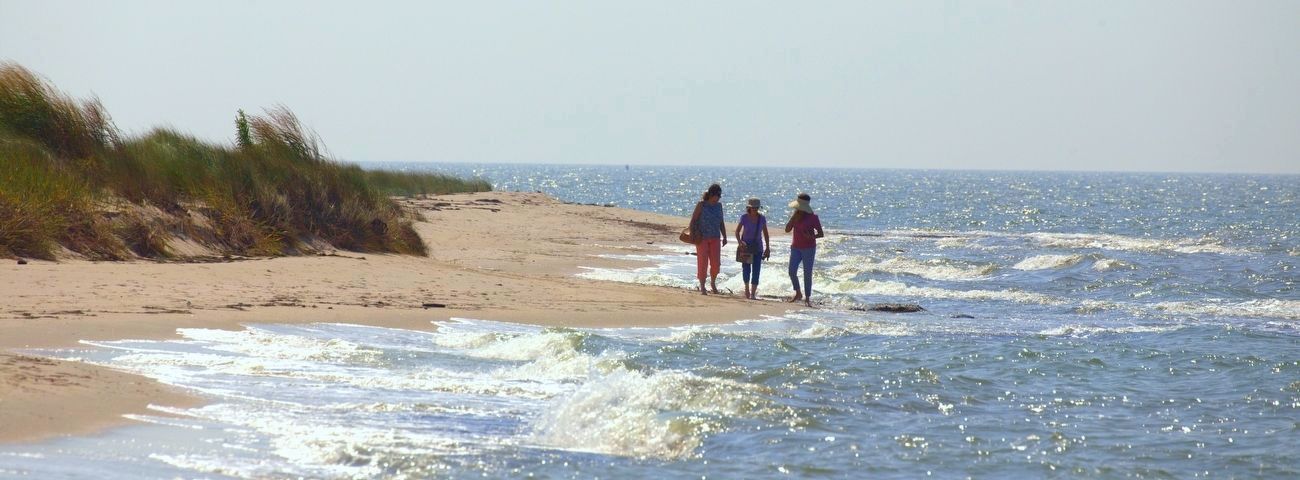 The Beach at Tangier Island, Virginia. Click for full size. The Beach at Tangier Island, Virginia image. Click for full size.
