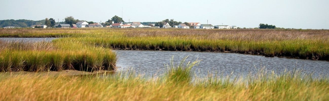 A Tangier Island View image. Click for full size.