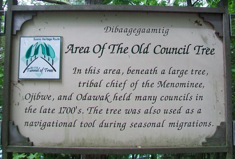 Area Of The Old Council Tree Marker image. Click for full size.
