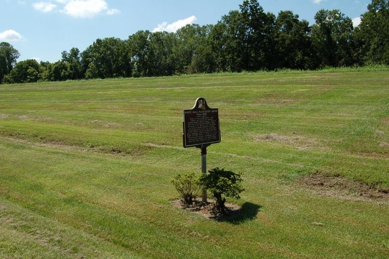 White Hall Plantation House Marker image. Click for full size.