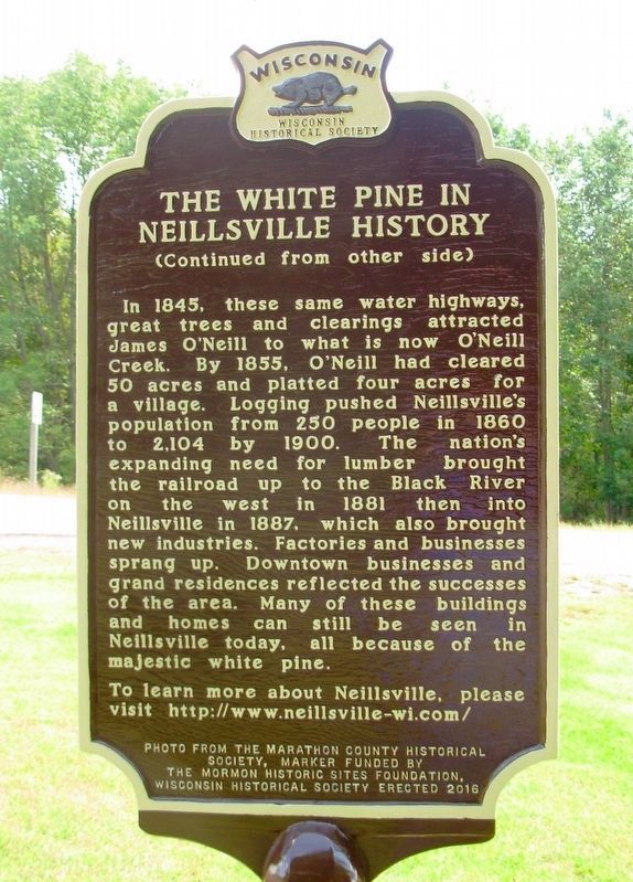 The White Pine in Neillsville History Marker image, Touch for more information
