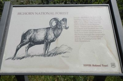 Bighorn National Forest Marker image. Click for full size.