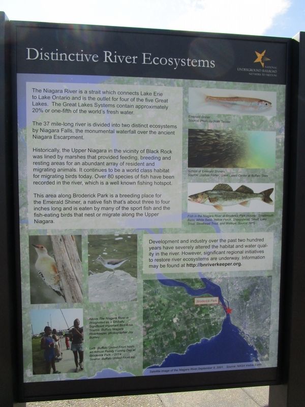 Distinctive River Ecosystems Panel. Click for full size. Distinctive River Ecosystems Panel image. Click for full size.