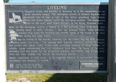 Lifeline Marker image. Click for full size.