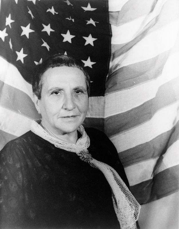 <i>Portrait of Gertrude Stein, with American flag as backdrop</i> image. Click for full size.