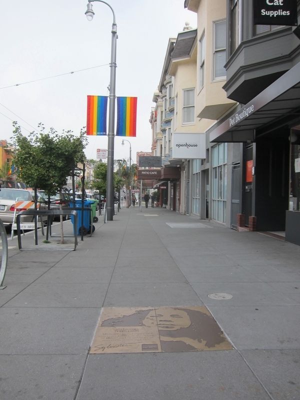 Sylvester Marker - Wide View Looking North Up Castro Street image. Click for full size.