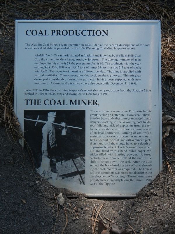 Coal Production Marker. Click for full size. Coal Production Marker image. Click for full size.