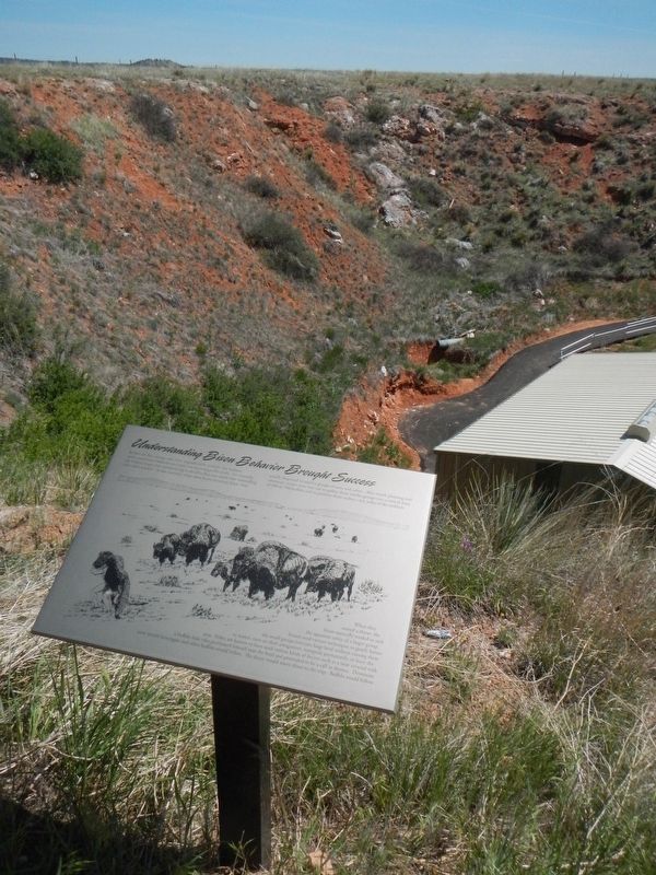 Understanding Bison Behavior Brought Success Marker image. Click for full size.