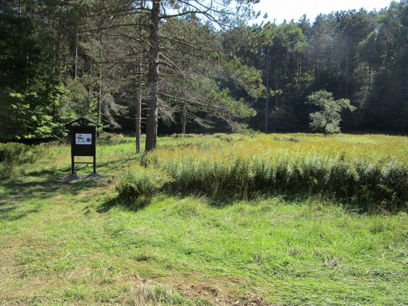 Stoddard Hollow Marker & Site image. Click for full size.