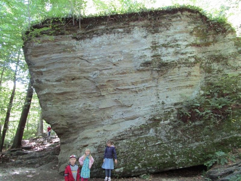 One of the Panama Rocks image. Click for full size.