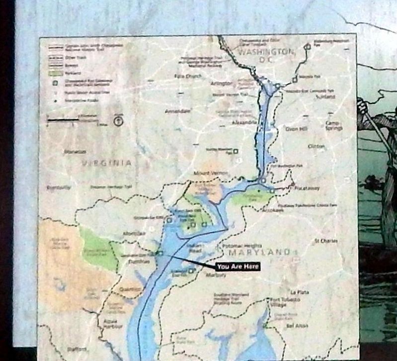 Swimming in Bounty Marker-Close up of map. Click for full size. Swimming in Bounty Marker-Close up of map image. Click for full size.