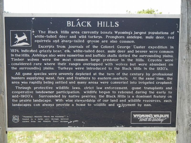 Black Hills Marker. Click for full size. Black Hills Marker image. Click for full size.