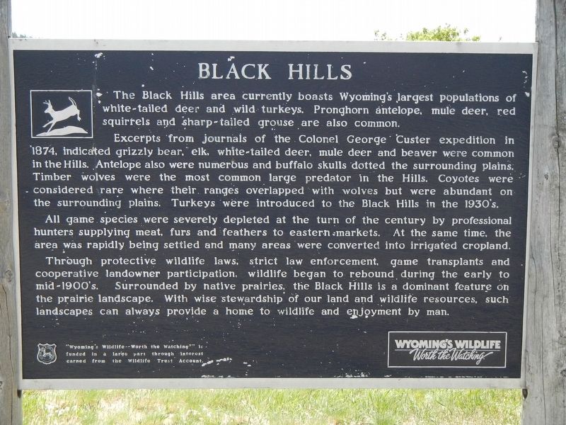 Black Hills Marker image. Click for full size.