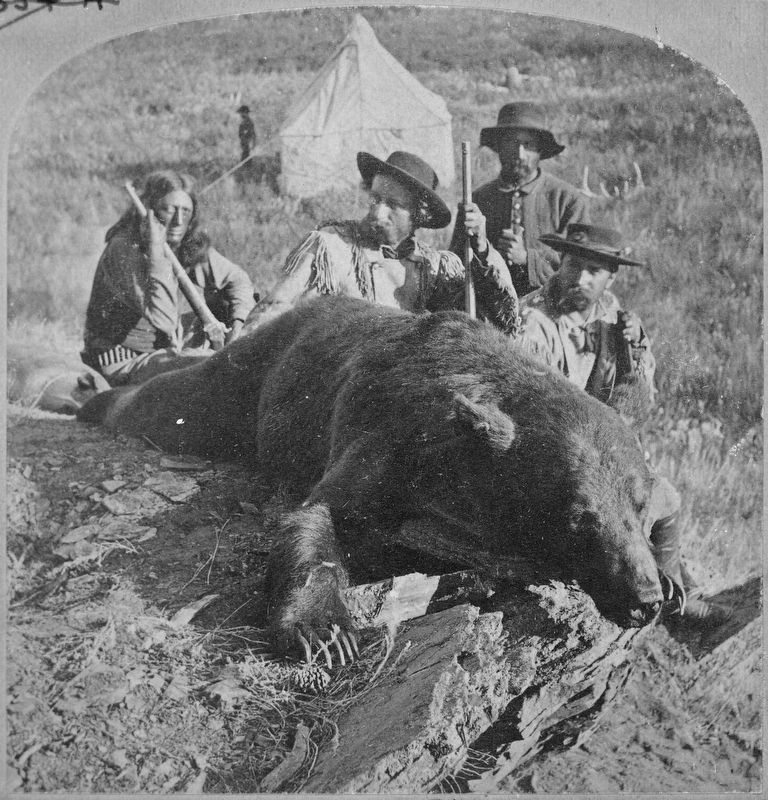 Our First Grizzly, killed by Gen. Custer and Col. Ludlow image. Click for full size.