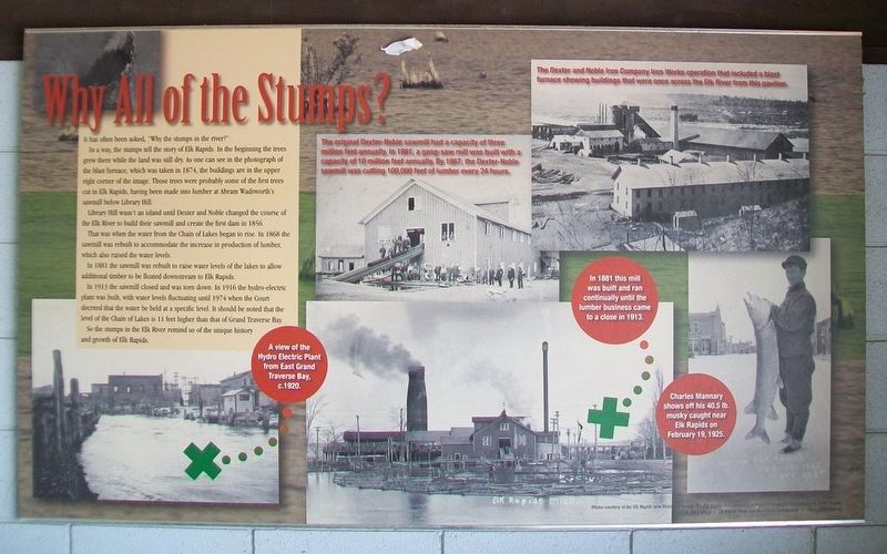 Why All of the Stumps? Marker. Click for full size. Why All of the Stumps? Marker image. Click for full size.