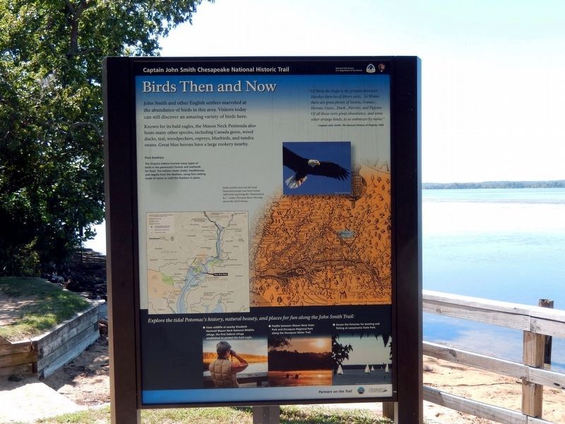 Birds Then and Now Marker-Panel 1. Click for full size. Birds Then and Now Marker-Panel 1 image. Click for full size.